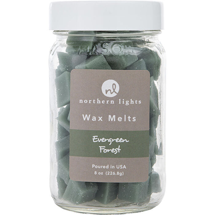 Northern Lights Evergreen Forest Simmering Fragrance Chips - Jar Containing 100 Melts 240ml/8oz