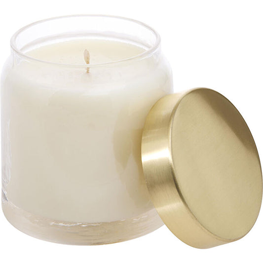 Northern Lights Sea Salt & Kelp Scented Soy Glass Candle 300ml/10oz