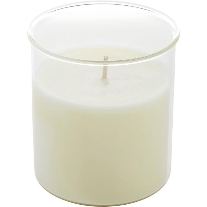 Northern Lights Celeste Fig & Melon Esque Candle Insert 266ml/9oz